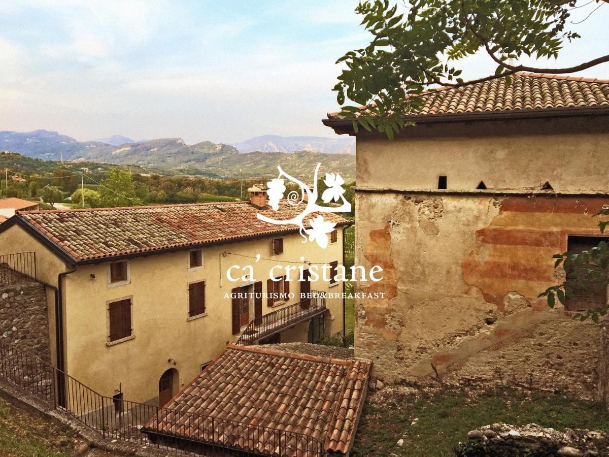 Agriturismo Ca' Cristane Rivoli Veronese エクステリア 写真