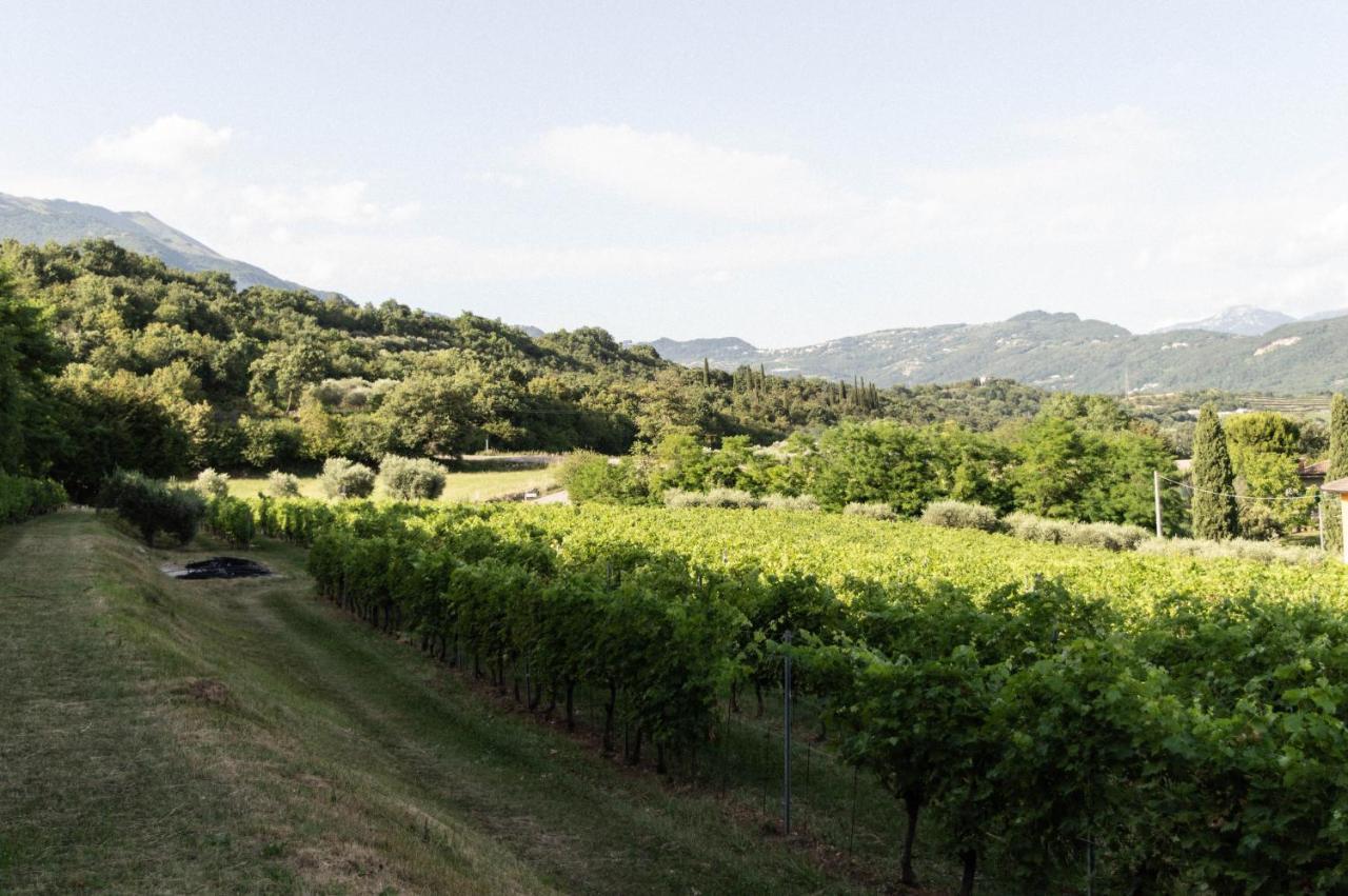 Agriturismo Ca' Cristane Rivoli Veronese エクステリア 写真