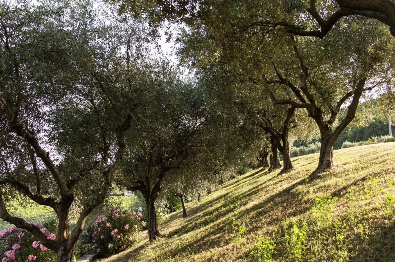 Agriturismo Ca' Cristane Rivoli Veronese エクステリア 写真