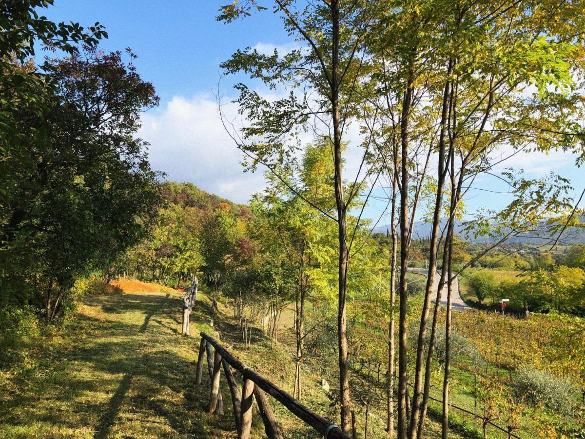 Agriturismo Ca' Cristane Rivoli Veronese エクステリア 写真