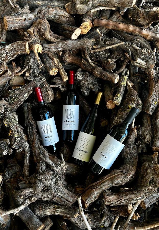 Agriturismo Ca' Cristane Rivoli Veronese エクステリア 写真