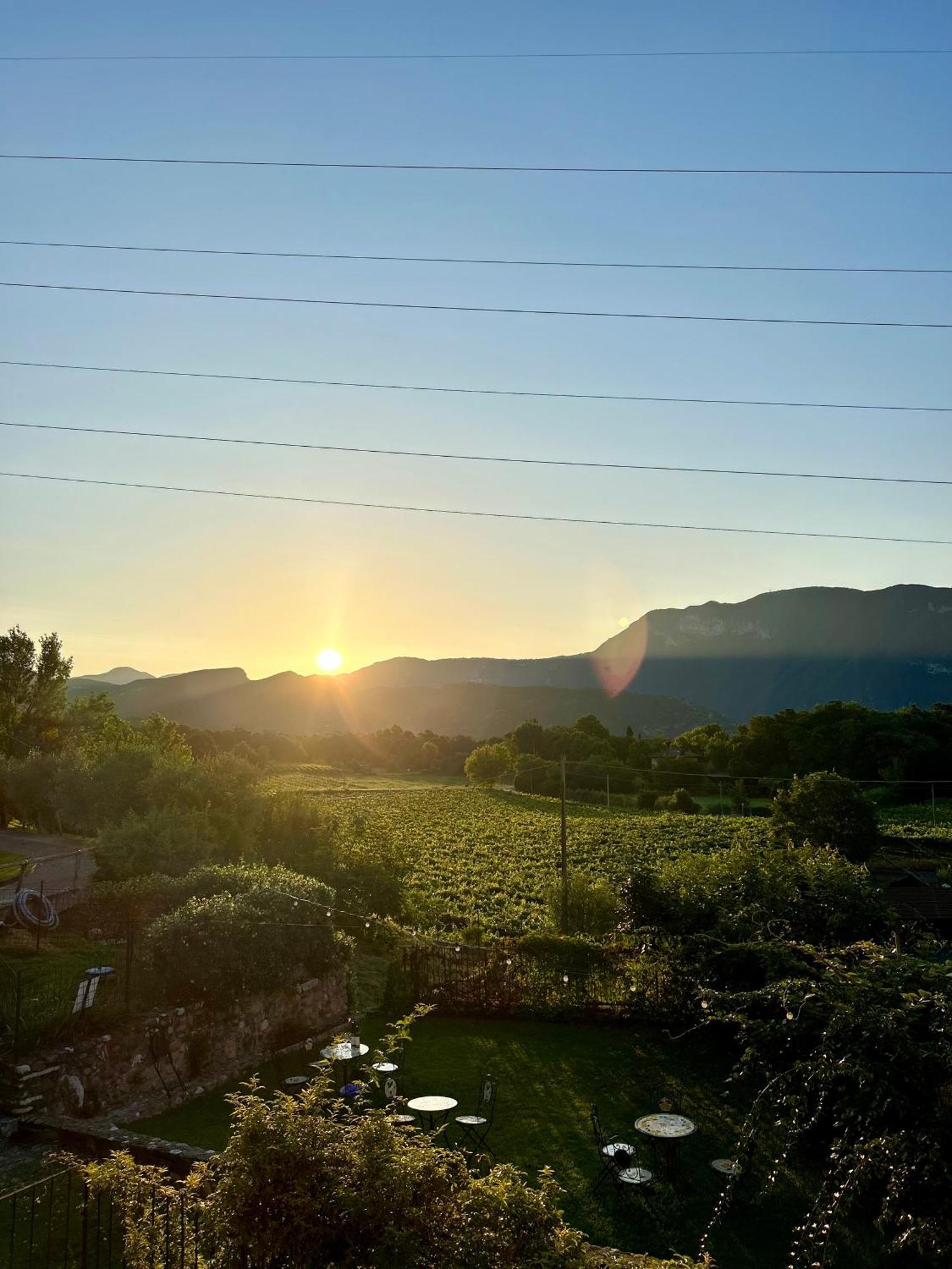 Agriturismo Ca' Cristane Rivoli Veronese エクステリア 写真