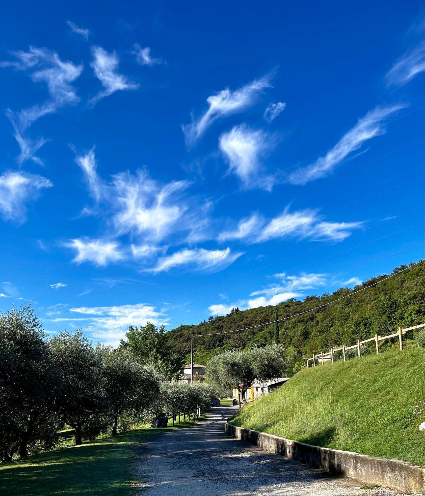 Agriturismo Ca' Cristane Rivoli Veronese エクステリア 写真