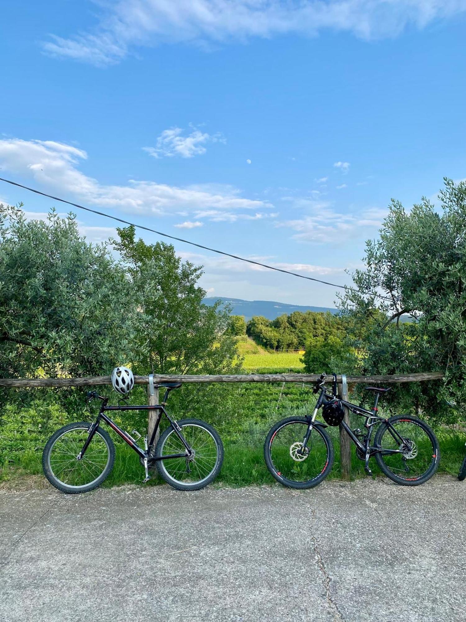 Agriturismo Ca' Cristane Rivoli Veronese エクステリア 写真