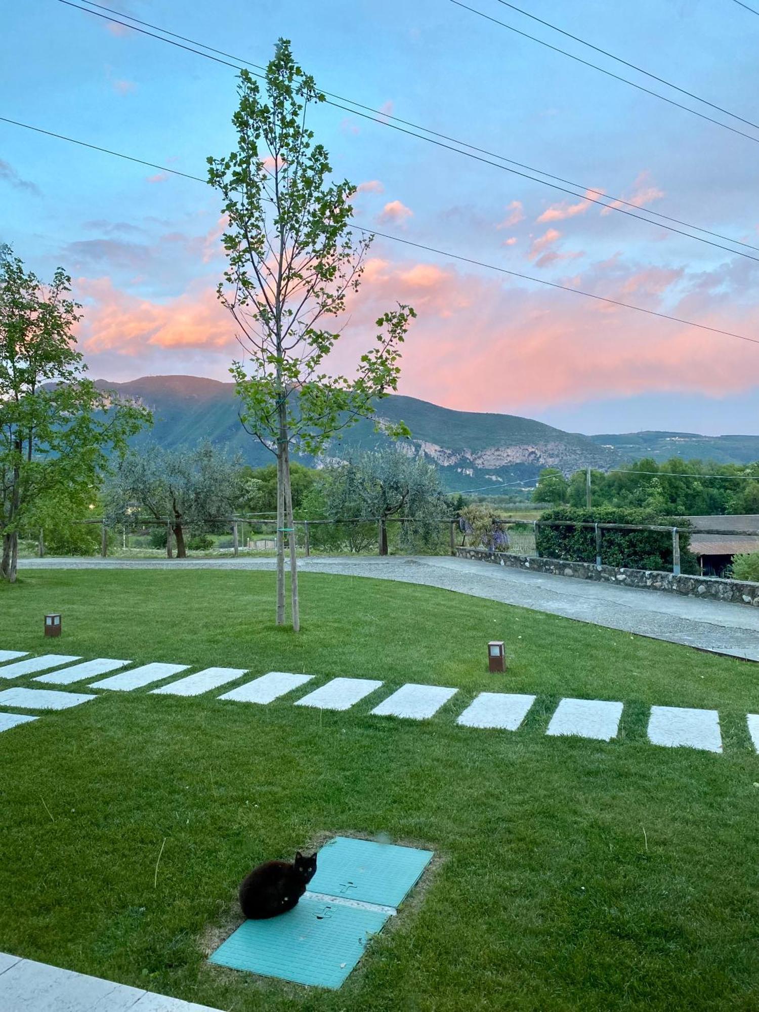 Agriturismo Ca' Cristane Rivoli Veronese エクステリア 写真
