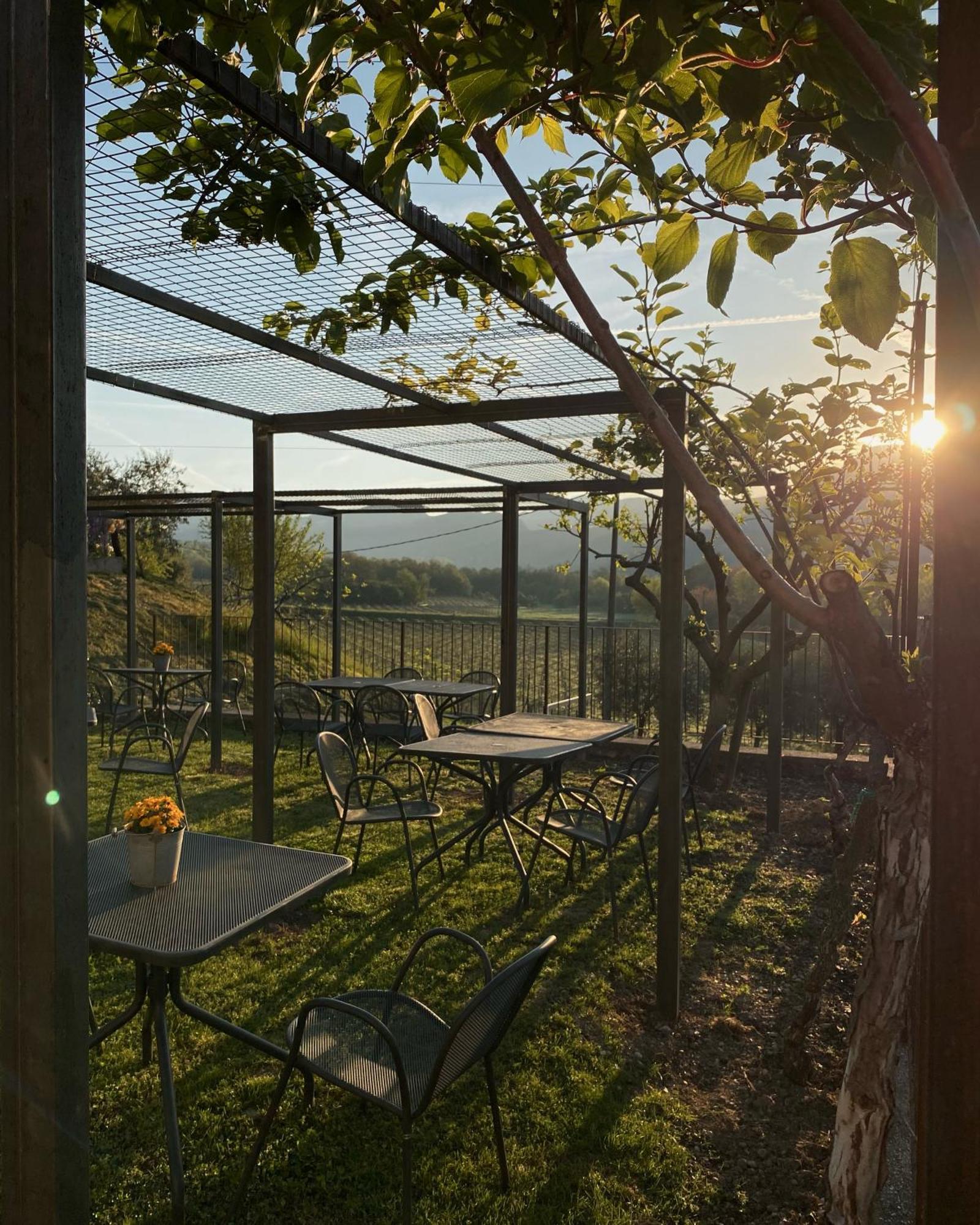 Agriturismo Ca' Cristane Rivoli Veronese エクステリア 写真